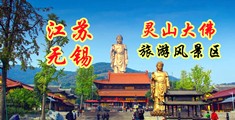 大鸡巴插的刘晓庆的骚逼的视频江苏无锡灵山大佛旅游风景区